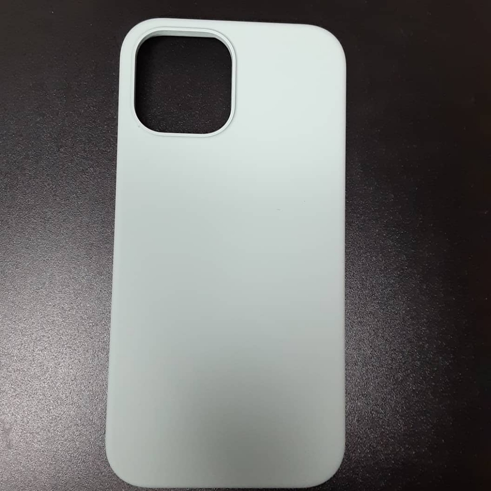 iPhone 12 Pro Max case